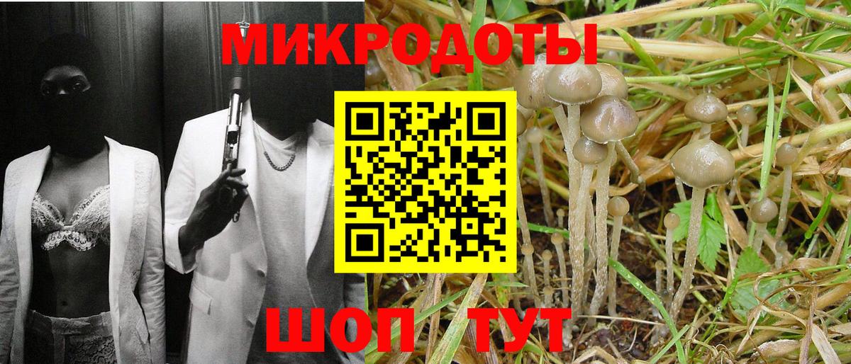 Псилоцибиновые грибы ЛСД  Вход с VPN  Галлюциногенные грибы Cubensis  Ржев 